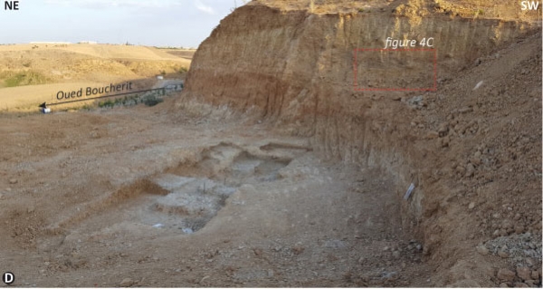 Les preuves d’une très ancienne présence de la civilisation acheuléenne en Afrique du Nord